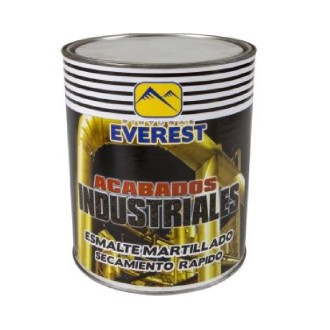 PINTURA ESMALTE MARTILLADO PLATA GALON EVEREST