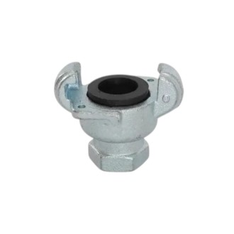 CLEMENTINA HEMBRA 1 1/4"