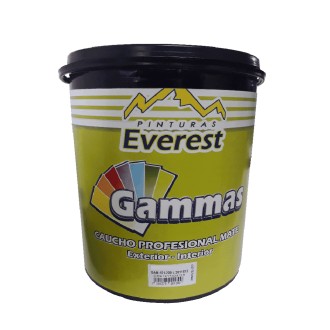 PINTURA GAMMAS CAUCHO PROFESIONAL MIEL GALON GAM